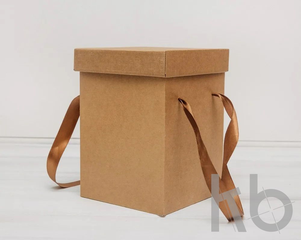 Крафт коробка - переноска с ручками из ленты