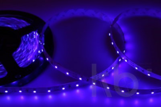 LED лента открытая, 8 мм, IP23, SMD 2835, 60 LED/m, 12 V, цвет свечения синий