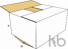 Обычная картонная коробка с прорезями (RSC) 0201